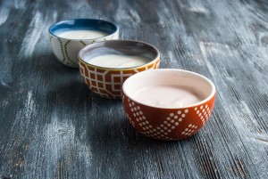 0815-SV-BlogPost-Yogurt-Trio